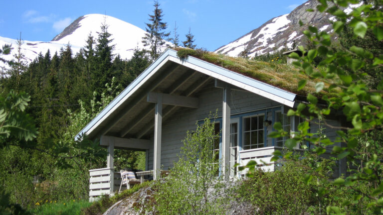 Jølsterlia Hyttetun